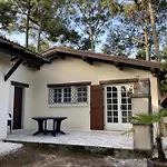 Dom wakacyjny Piraillan Foret - Ref 2064 Lège-Cap-Ferret