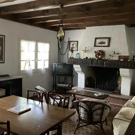 Piraillan Foret - Ref 2064 Lège-Cap-Ferret