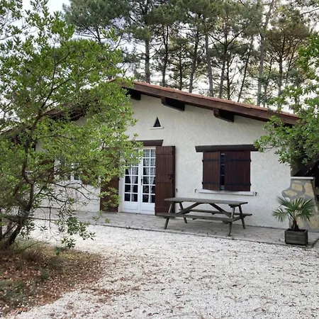 Piraillan Foret - Ref 2064 * Lège-Cap-Ferret