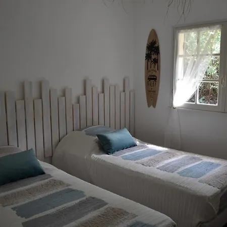 Piraillan Foret - Ref 2064 * Lège-Cap-Ferret