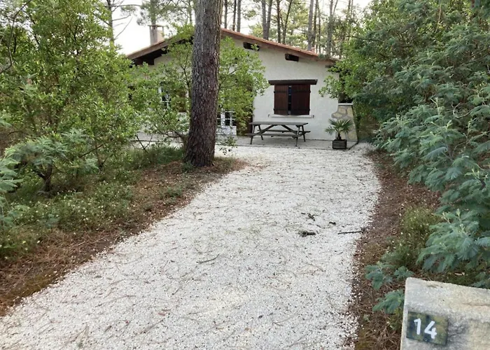 Nyaraló Piraillan Foret - Ref 2064 *