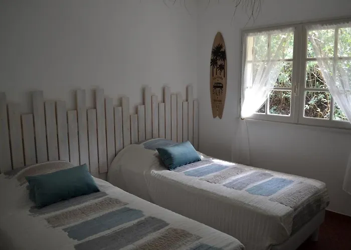 Piraillan Foret - Ref 2064 * Lège-Cap-Ferret